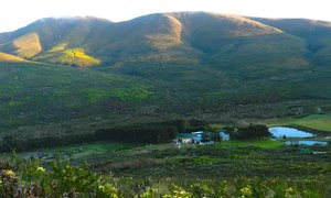 Die plaas, Flower Valley van Flower Valley Conservation Trust wat vanjaar hulle 15de verjaardag herdenk